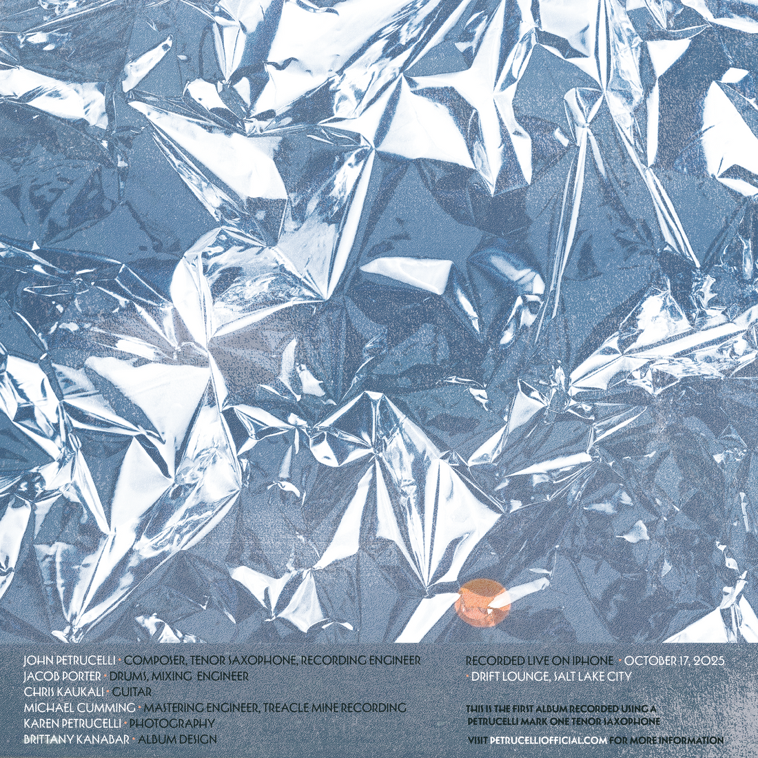 The Endurance of Optimism: Liner Notes by Dustin Mallory