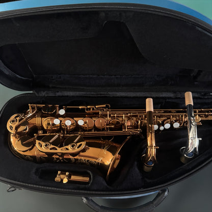 PETRUCELLI MARK ONE Alto Saxophone