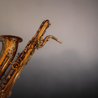 Petrucelli Mark ONE Baritone Saxophone